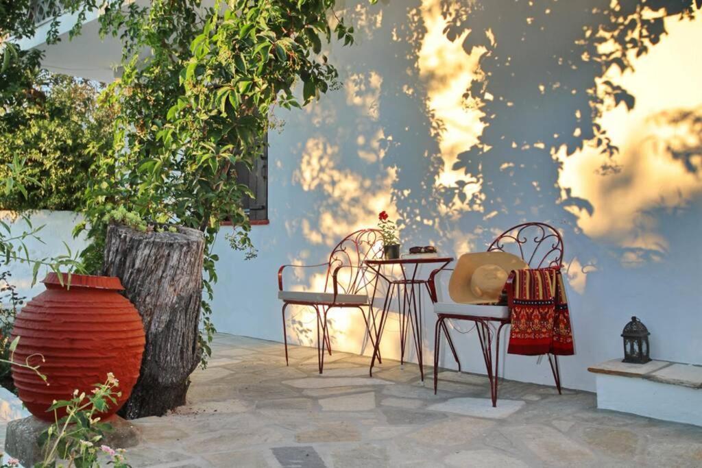 Παναής & Μαρία / Panais & Maria Vila Skopelos Town Exterior foto